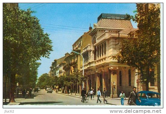 CP.  SETIF.  AVENUE  GEORGES  CLEMENCEAU