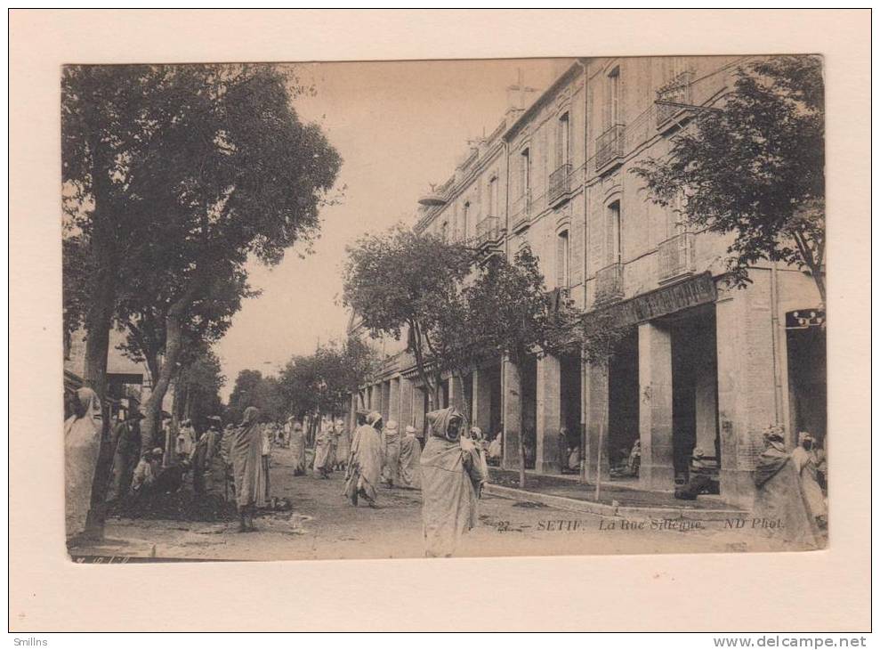 D51576 Postcard Setif La Rue Sillegue, Advertisement For Meme Mason Aux Mille Fleuers On Back, Divided Back, Unused