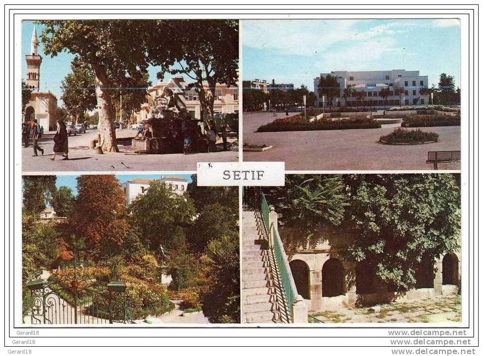 ( algérie )SOUVENIR DE SETIF