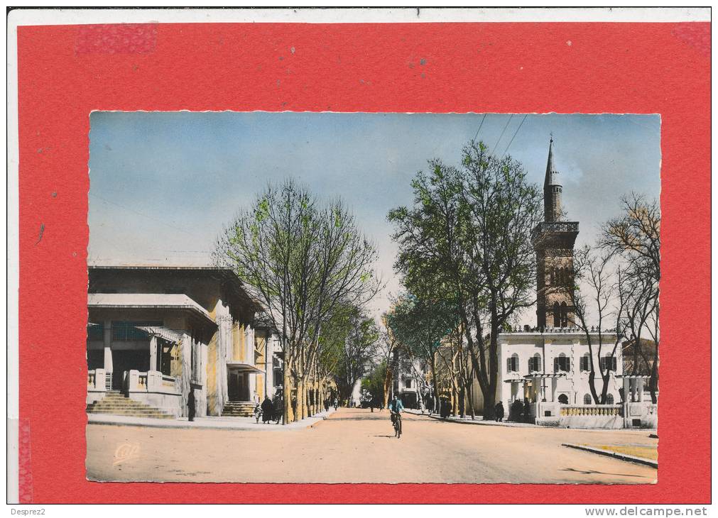 SETIF cpsm animée Mairie Mosquée Avenue G Clémenceau          11 CAP