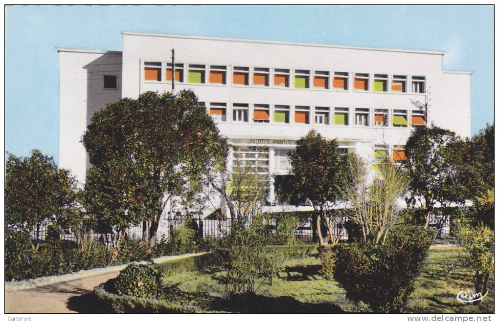 AFRIQUE,FRANCE COLONIES,MAGHREB,HAUTS PLATEAUX,SETIF EN 1950,HOTEL DES FINANCES,RECOLTE DES IMPOTS,JARDIN