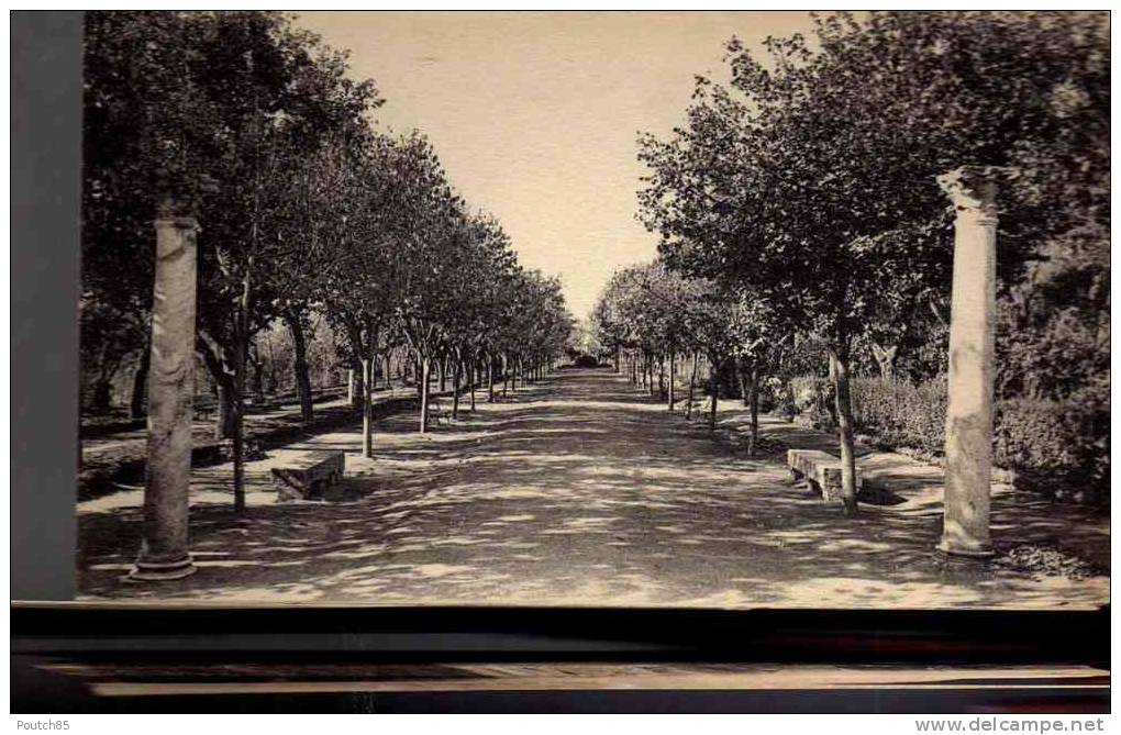 SETIF    1926