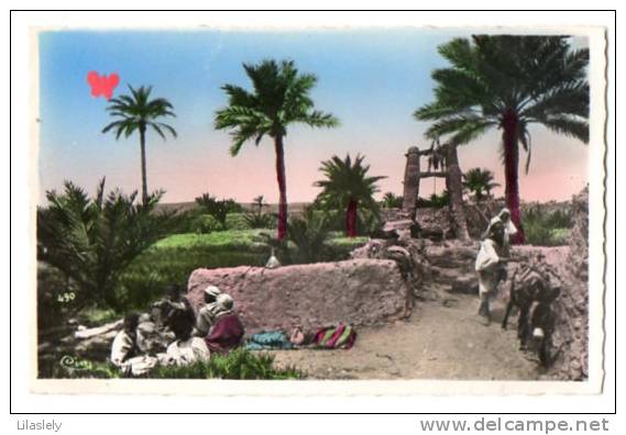 ALGERIE-9980-Collection Artistique l' Afrique-Paysage du M'200---------------animé e-bouricot