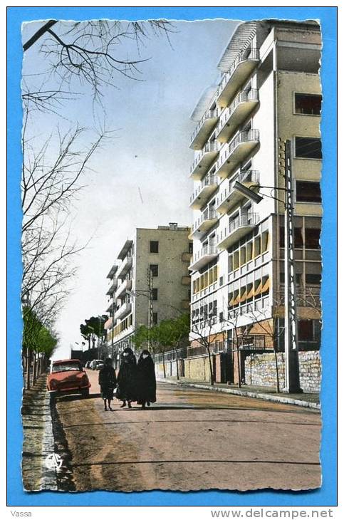 13. SETIF. Cité Brincat. animée , voiture , car.R