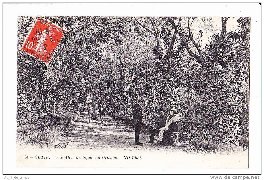 SETIF , UNE ALLEE DU SQUARE D' ORLEANS
