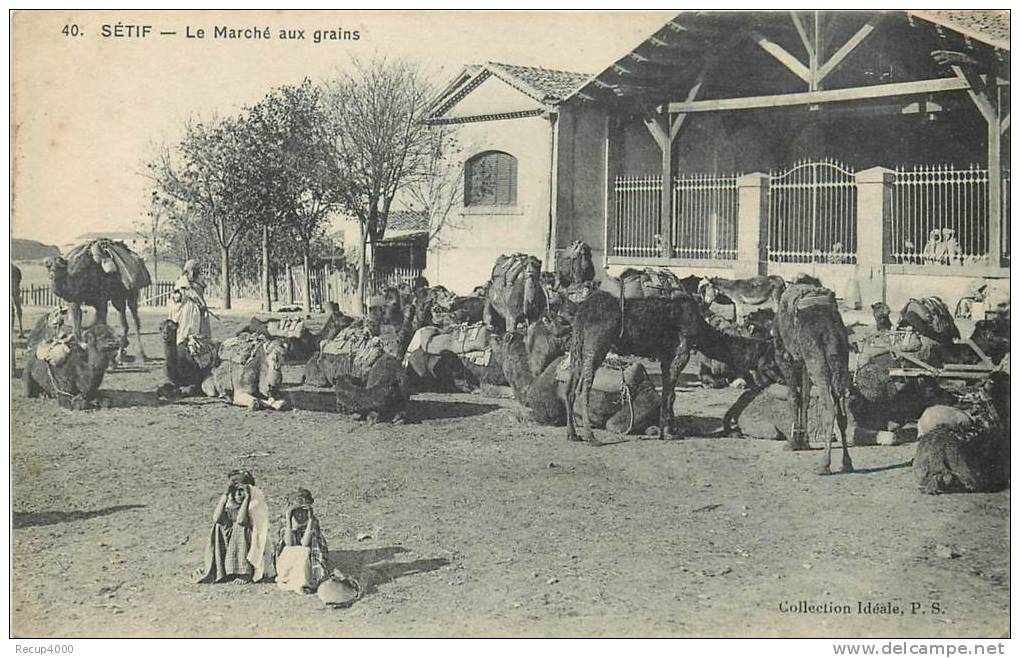 ALGERIE  SETIF le marché aux grains   2 scans