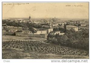 cpa-Algerie-Setif-vue générale