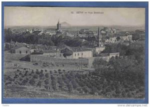 Carte Postale Afrique Algérie Sétif  trés beau plan