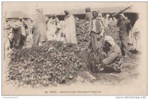 CPA ALGERIE SETIF Marché Arabe Petit Métier Le Marchand d'Oignons Animation 1908