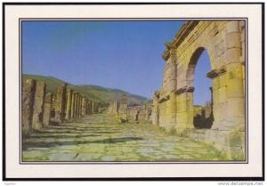 ALGERIE - CP - Djemila,Grand cardo de la ville - Ruines romaines - Roman ruins - Neuve / Mint