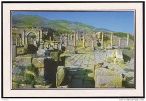 ALGERIE - CP - Djemila, Vue Générale - Ruines romaines - Romans ruins - Neuve / Mint