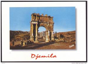 ALGERIE - ALGERIA - CP - Djemila - Ruines romaines - Neuve/Mint
