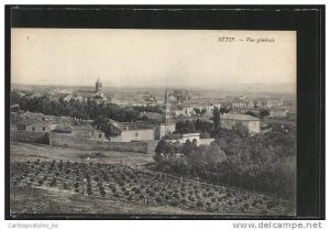 CPA Setif, Vue generale, Totalansicht mit Umgebung