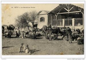 ALGERIE   SETIF  LE MARCHE AUX GRAINS
