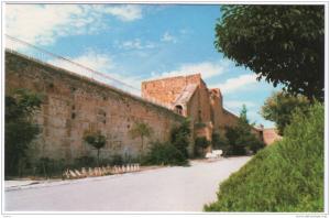 ALGERIE - CP - Musée national de Sétif - Neuve