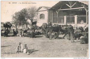 SETIF - Le Marché aux Grains