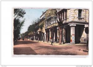 ALGERIE Sétif Avenue Clémenceau, ed Sirecky 18, CPSM 9x14, 195?