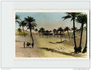 196 )  Dunes de Sable. Anes. Peloton 4/B  . (2 Scans) .Année 1955 . Édit./Phot *  .Exp/Dest *
