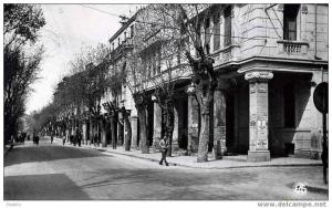 ALGERIE - SETIF - AVENUE CLEMENCEAU -