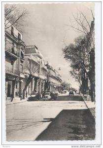 ALGERIE  RARE    SETIF    Sous la NEIGE , av. Clemenceau  4 CV RENAULT  PEUGEOT 203 ... -  Animé  -