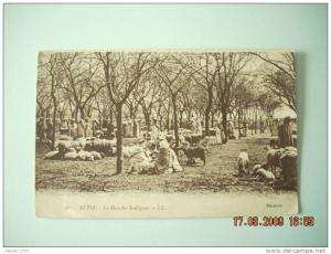 ALGERIE  SETIF      MARCHE  INDIGENE        1925