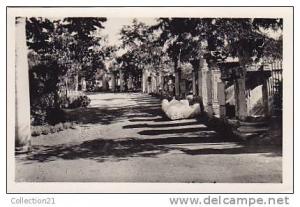 SETIF ... JARDIN D ORLEANS