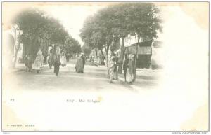 Algérie -  Sétif - Rue  Sillègue