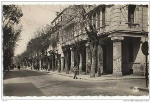 SETIF. - Boulevard Clemenceau.  CPSM 9x14