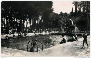 CPSM ALGERIE / Sidi Bel Abbès, la piscine
