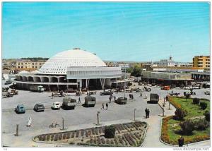 Afrique-Algérie-SIDI BEL ABBES-Les Halles Centrales (philatélie timbre stamp ALGERIE Malus Communis (auto voiture camion