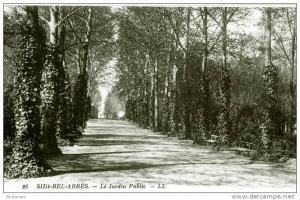 CPA ALGERIE SIDI BEL ABBES N°26 LE JARDIN PUBLIC LL LEVY & NEURDEIN REUNIS PARIS IMP