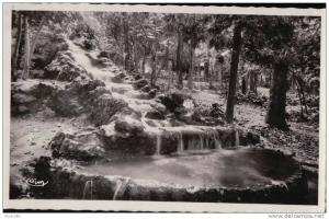 PORT GRATUIT   8300   SIDI  BEL  ABBES