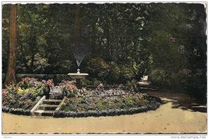 ALGERIE SIDI BEL ABBES  LE JARDIN PUBLIC L'ALLEE PRINCIPALE  CPA NO 94