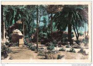 ALGERIE - Sidi Bel Abbès  La chute d'Icare   neuve excellent état