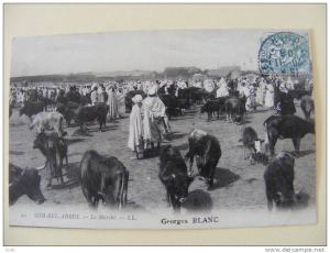 CPA - Sidi-Bel-Abbès (Algérie) - Le marché (aux bestiaux) vaches taureaux