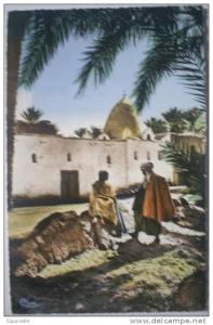 C. Postale  ALGERIE - SIDI LHASSEN