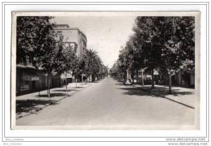 Sidi-bel-Abbès - Boulevard de la République - 1949 - animée