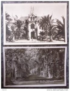 ALGERIE.SIDI-BEL-ABBES.LO T DE 2 CPSM.HOTEL DE VILLE.JARDIN PUBLIC.ANNEES 50.TBE.