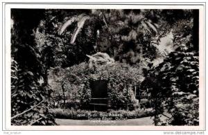 Afrique - Algérie - Sidi Bel Abbès - square Edgar Quinet (mort d´Icare) - carte glacée