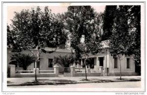 Afrique - Algérie - Sidi Bel Abbès - cercle militaire - carte glacée