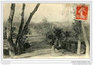 ## ALGERIE ## SIDI BEL ABBES AVENUE DE LA VALLEE DES JARDINS TRES BELLE ANIMATI