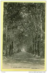 - Algerie - Sidi Bel Abbes - Jardin Public - Collection Ideale PS 6.