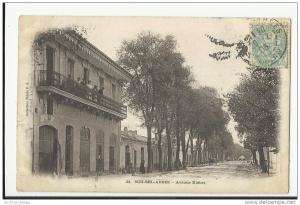 SIDI-BEL-ABBES , AVENUE KLEBER