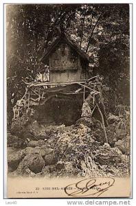 Algérie Sidi Bel Abbes Jardin public