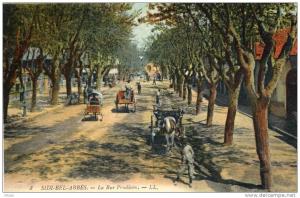 ALGERIE(SIDI BEL ABBES)