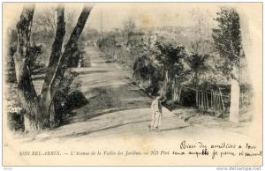 ALGERIE(SIDI BEL ABBES)