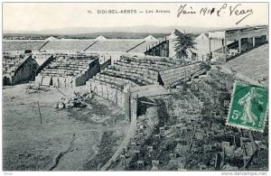 ALGERIE(SIDI BEL ABBES)