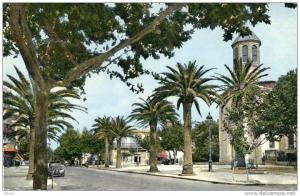 ALGERIE(SIDI BEL ABBES)