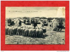 * ALGERIE-SIDI BEL ABBES-Le Marché aux Moutons-1930