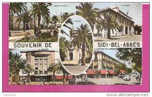 SIDI BEL ABBES   -    * 5 VUES SOUVENIRS *      -     Editeur  C.A.P. de Paris   Nr  557